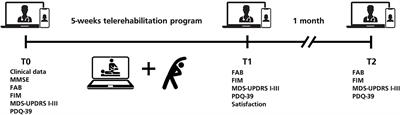 Feasibility, Safety, and Effectiveness of Telerehabilitation in Mild-to-Moderate Parkinson's Disease